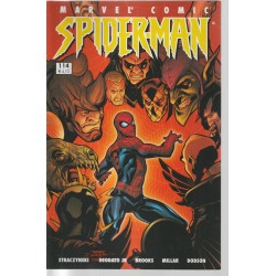 Spiderman 114