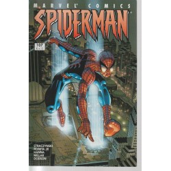Spiderman 107