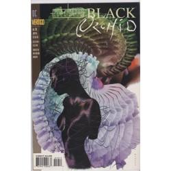 Black Orchid 10